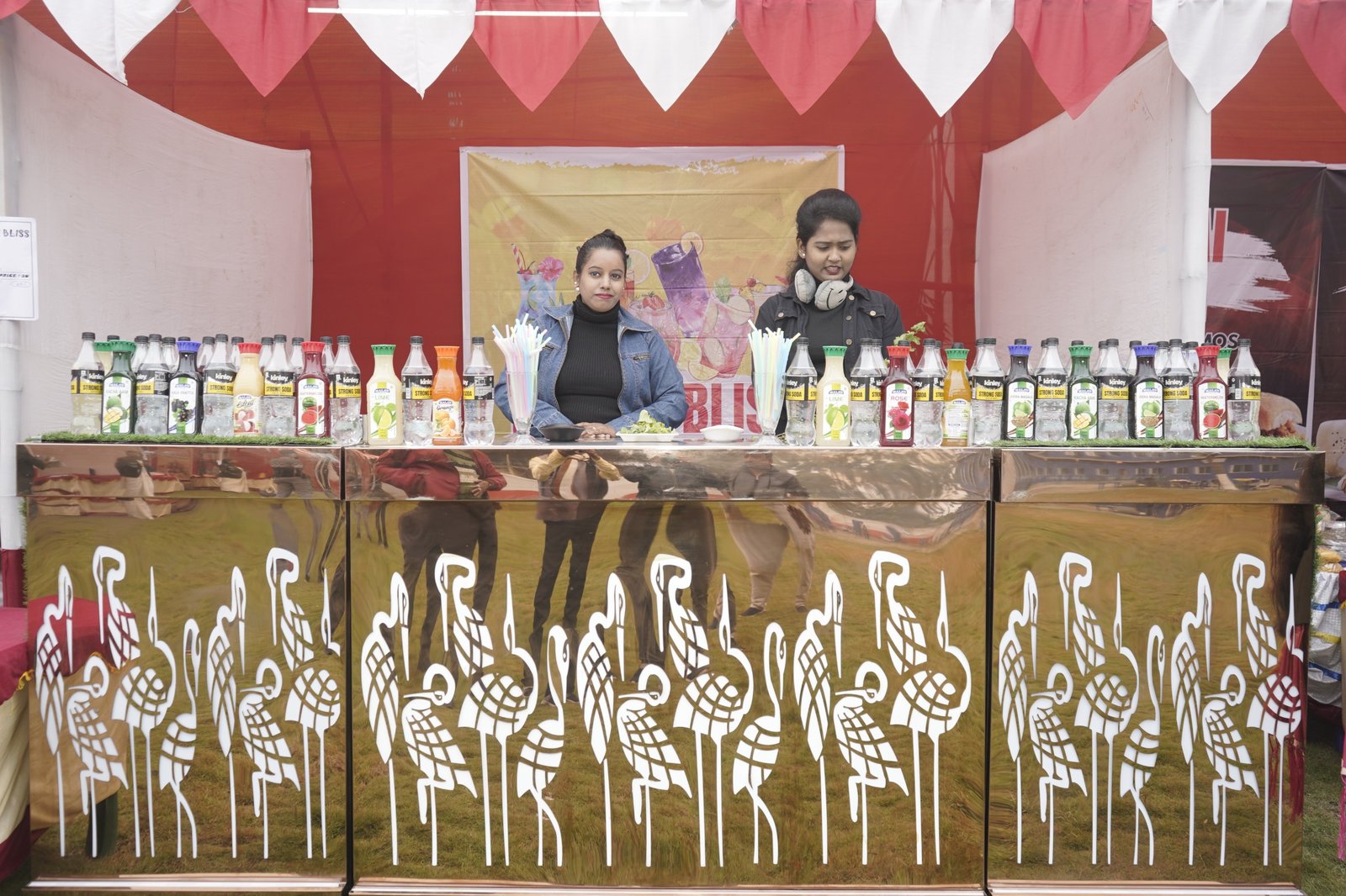 Whimsical Wonders 2.0 - Winter Carnival