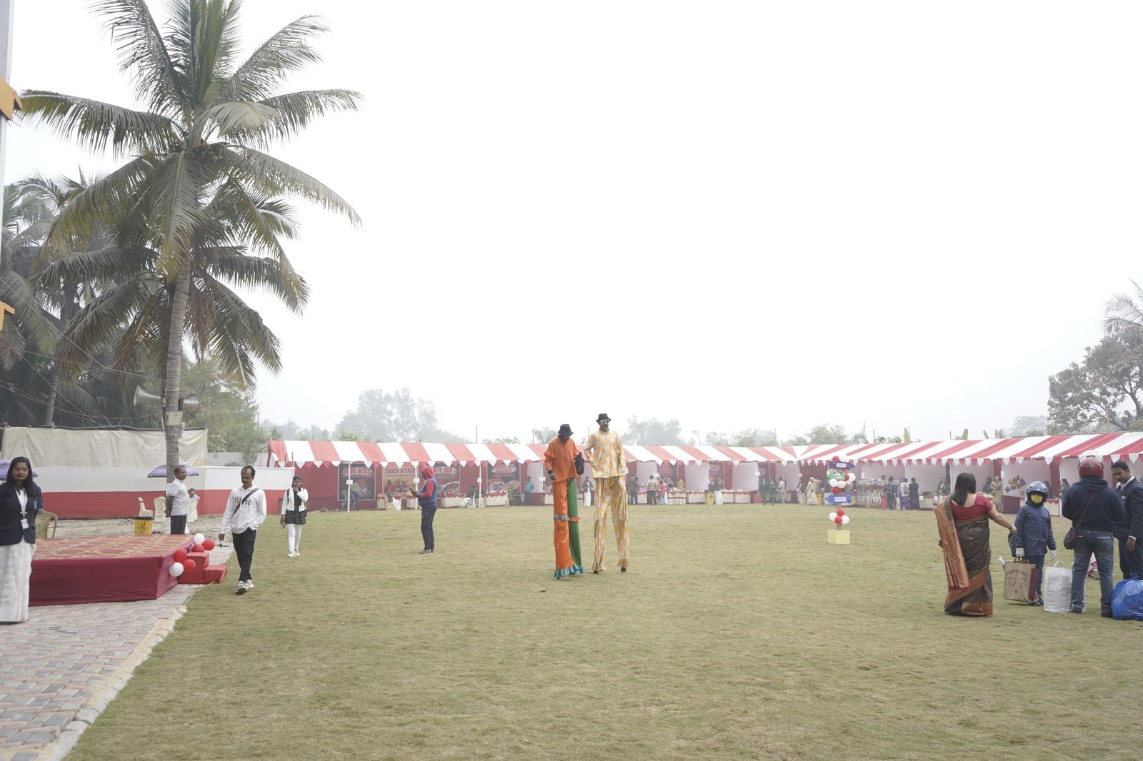 Whimsical Wonders 2.0 - Winter Carnival