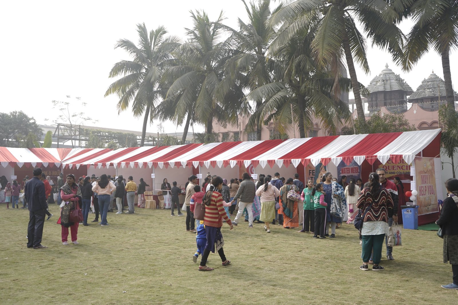 Whimsical Wonders 2.0 - Winter Carnival