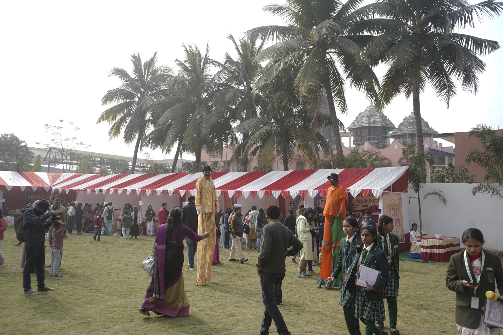 Whimsical Wonders 2.0 - Winter Carnival