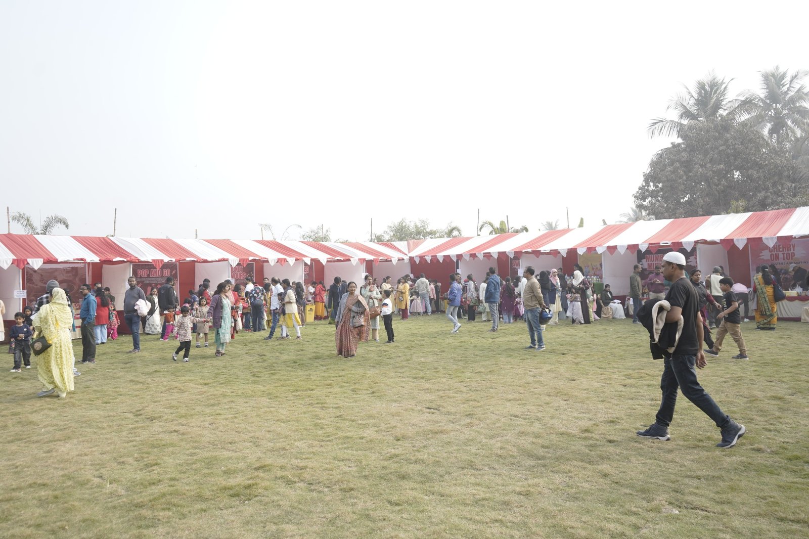 Whimsical Wonders 2.0 - Winter Carnival