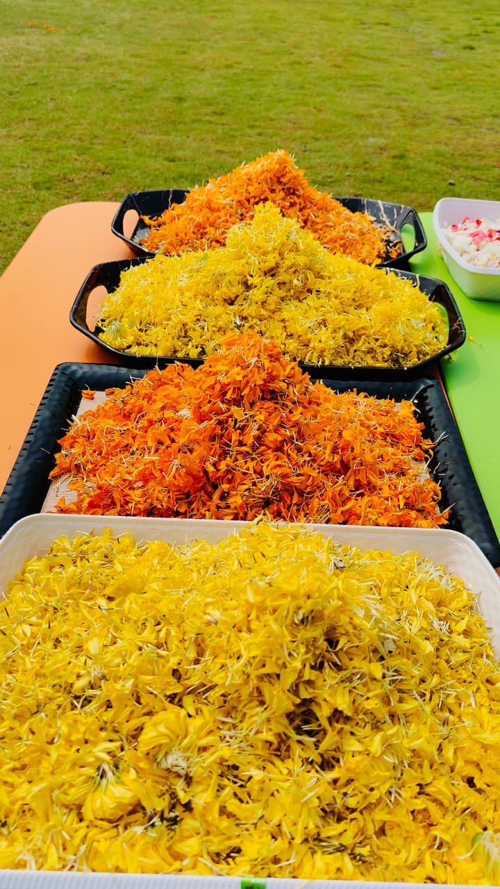 Holi Celebration By PPS