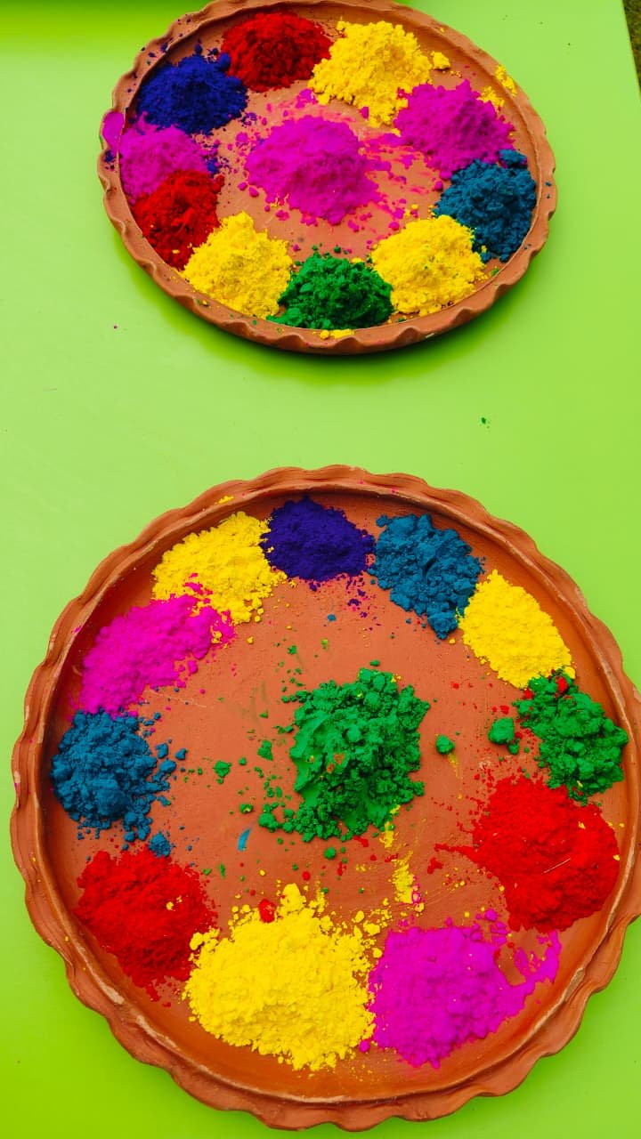 Holi Celebration By PPS