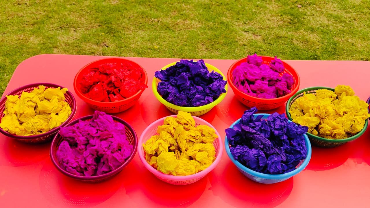 Holi Celebration By PPS