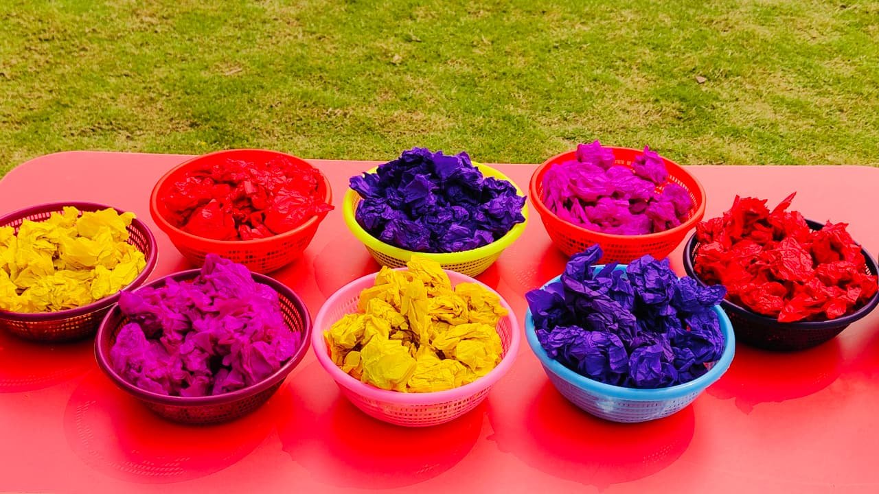 Holi Celebration By PPS