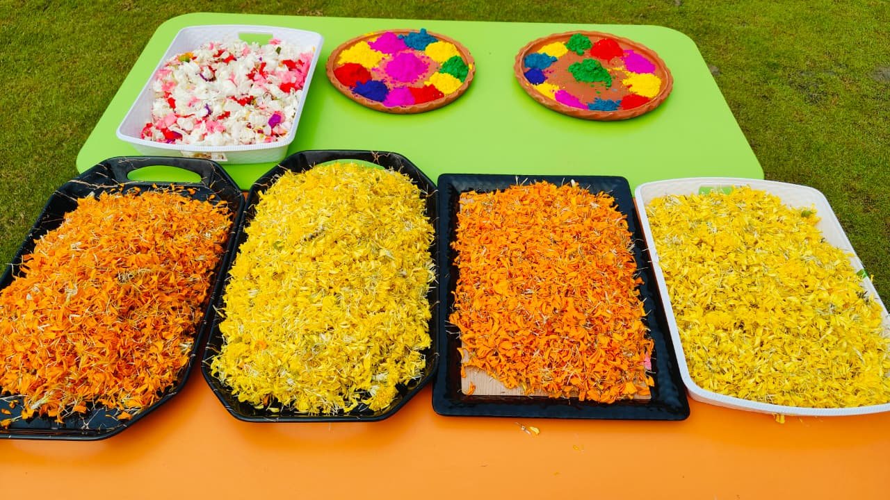 Holi Celebration By PPS