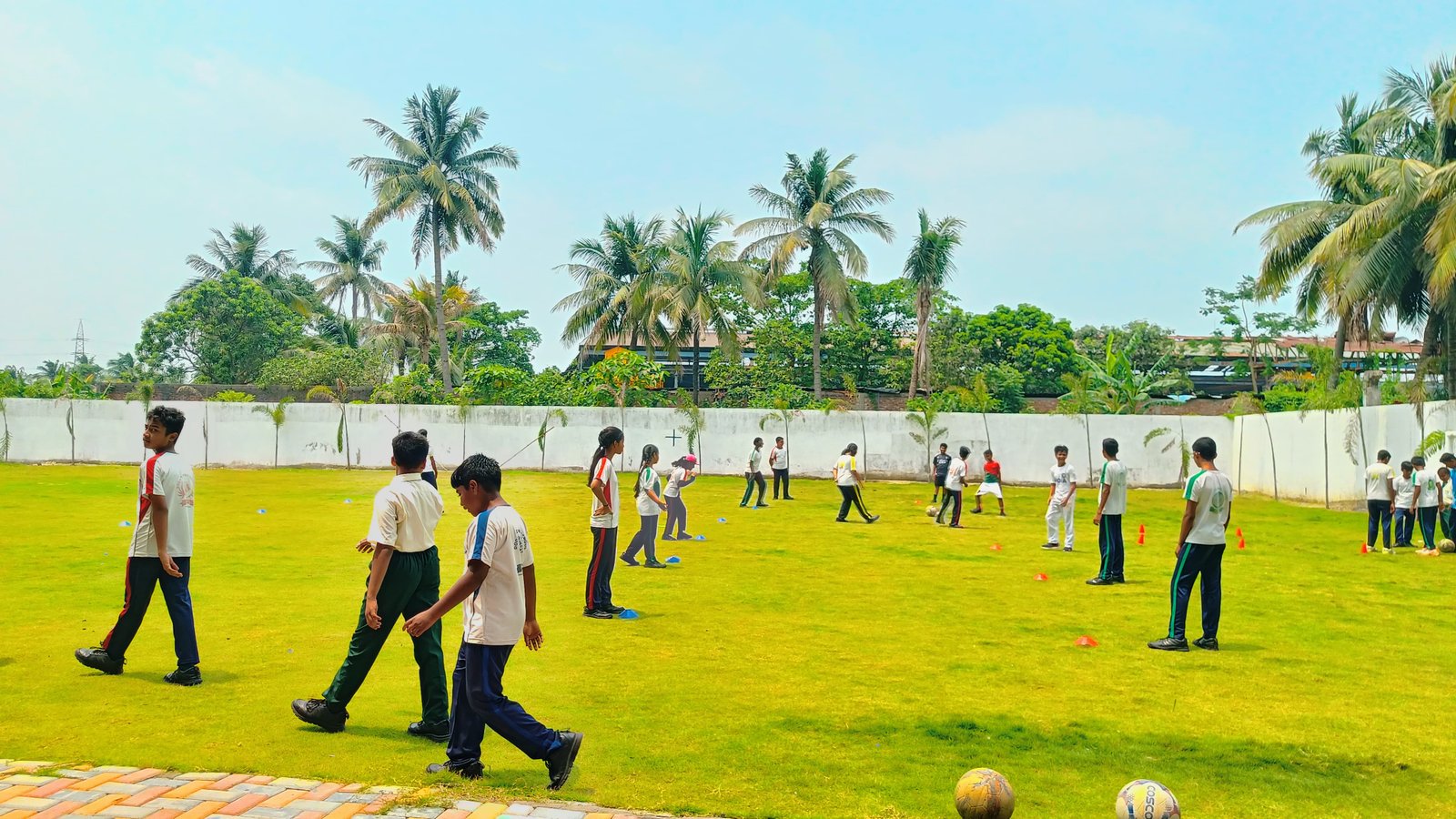 Summer Camp