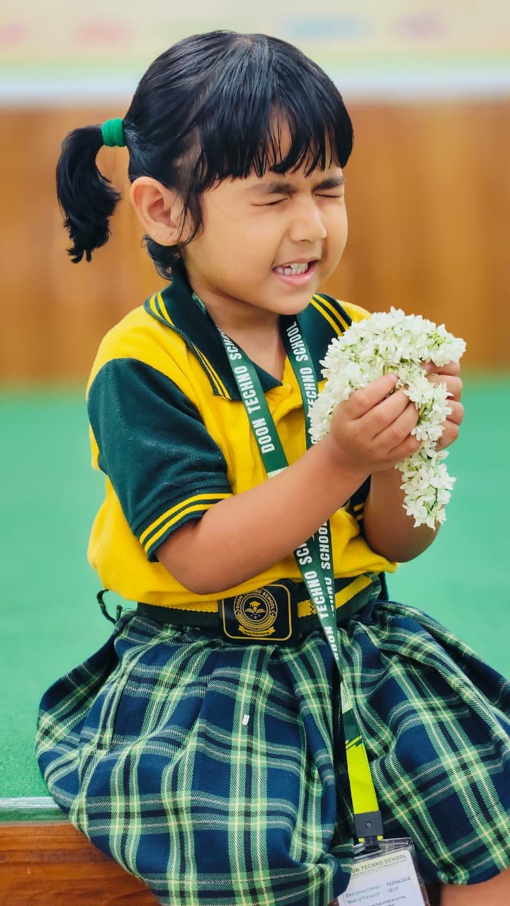 Summer Bingo Activities - For Pre Primary Students